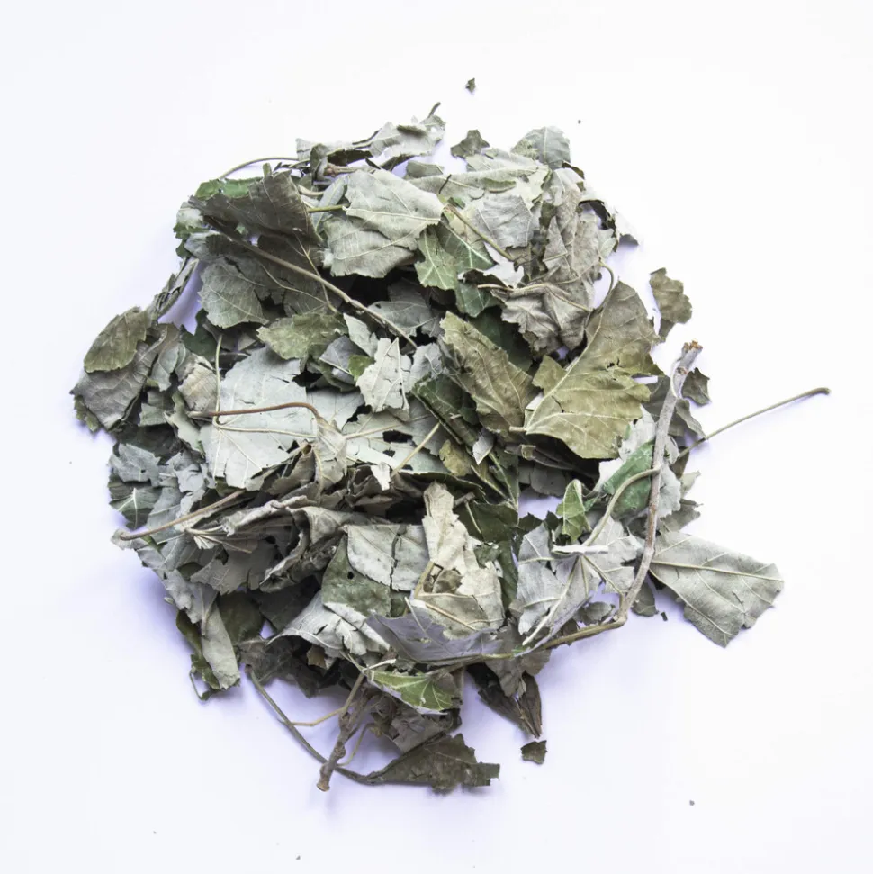 L'EDEN DES PATTOUNES - Feuilles de tilleul - 50 g