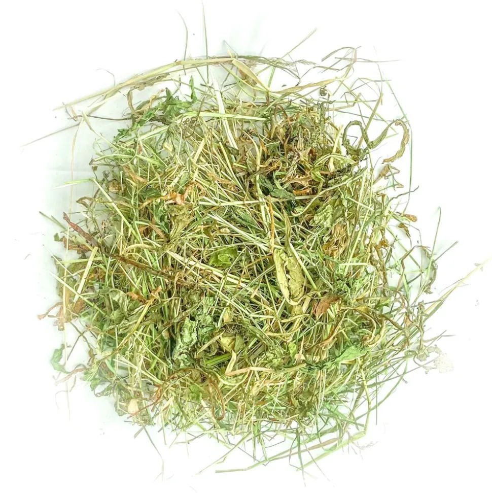 L'EDEN DES PATTOUNES - Foin aromatisé aux feuilles de bouleau pour lapins et rongeurs