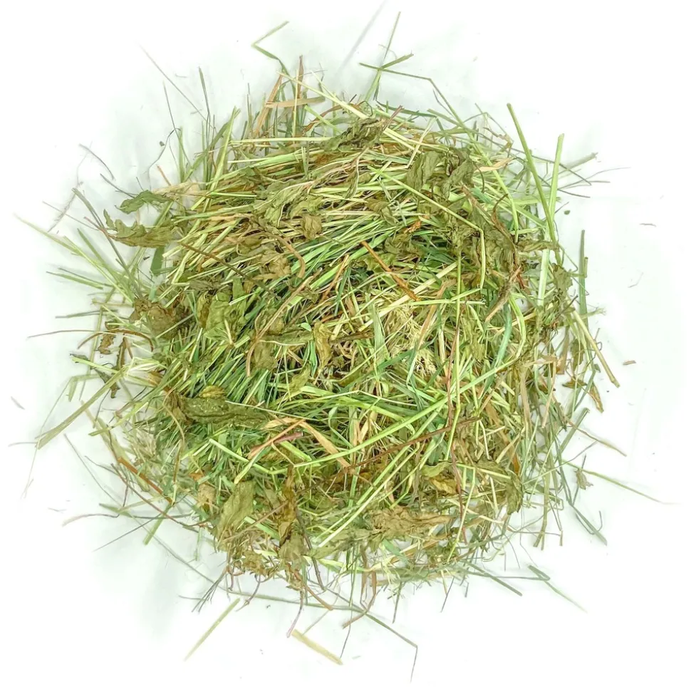 L'EDEN DES PATTOUNES - Foin aromatisé aux feuilles de framboisier pour lapins et rongeurs