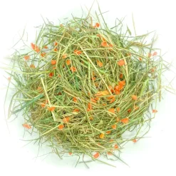 L'EDEN DES PATTOUNES - Foin aromatisé à la carotte pour lapins et rongeurs