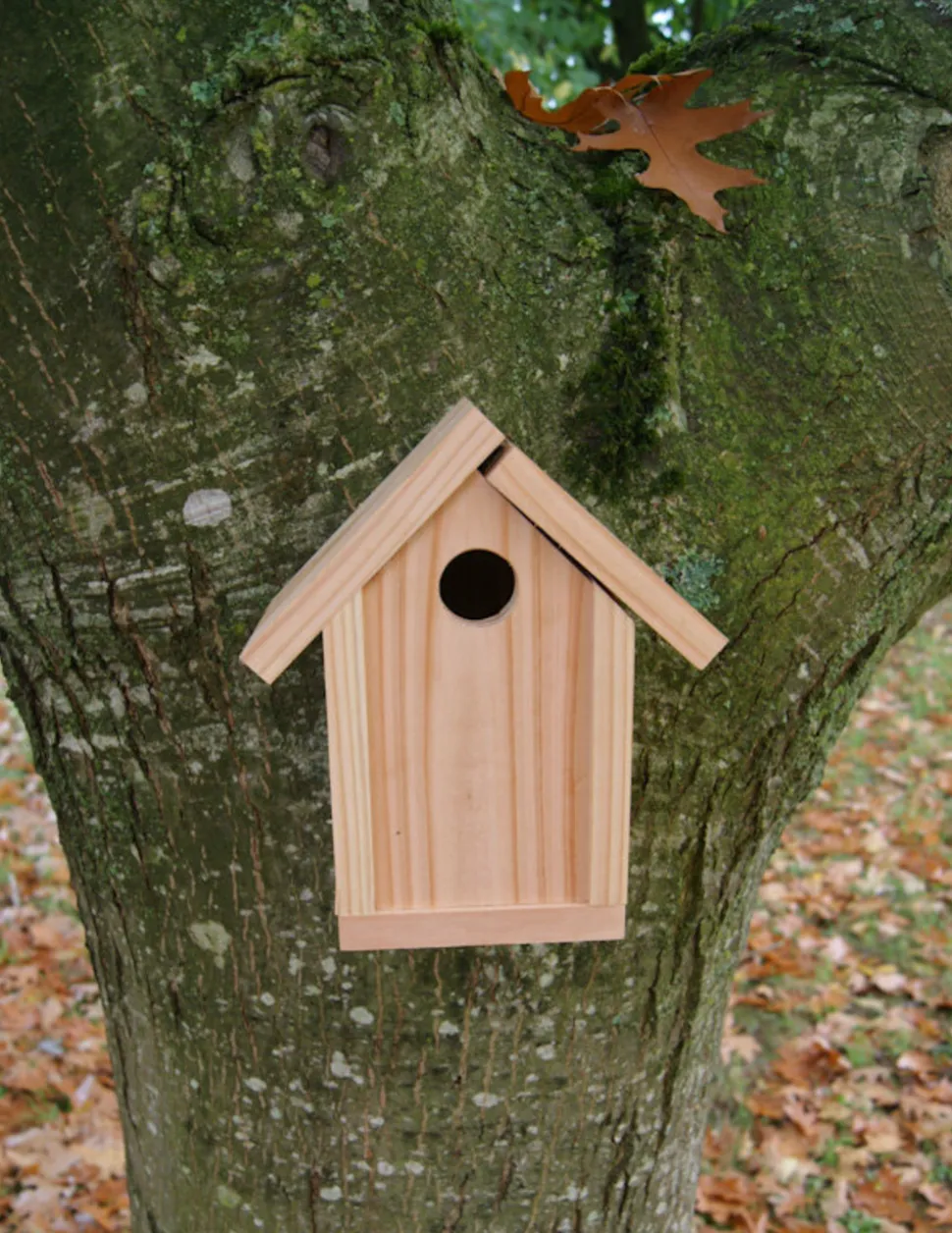LE LIVET - Nichoir oiseau ouverture 34mm douglas