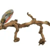 LUCKY REPTILE - Bois de vigne - grapevine - small 30-40 cm - décoration pour terrarium destiné aux reptiles (lézards, serpents, tortues), amphib