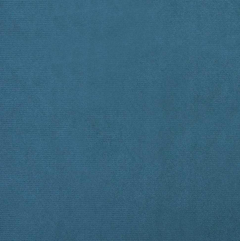 MAISON EXCLUSIVE - Lit pour chien bleu 70x45x30 cm velours