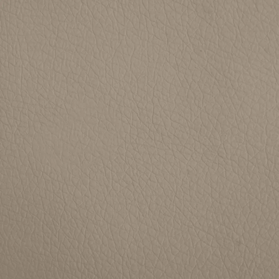 MAISON EXCLUSIVE - Lit pour chien cappuccino 70x45x30 cm similicuir