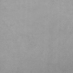 MAISON EXCLUSIVE - Lit pour chien gris clair 70x48x22 cm velours