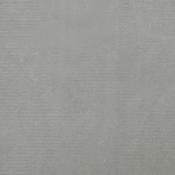 MAISON EXCLUSIVE - Lit pour chien gris clair 70x52x30 cm velours