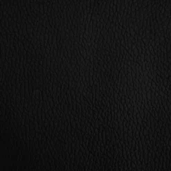 MAISON EXCLUSIVE - Lit pour chien noir 70x45x30 cm similicuir