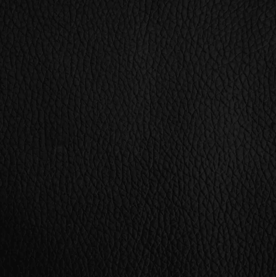 MAISON EXCLUSIVE - Lit pour chien noir 70x45x30 cm similicuir