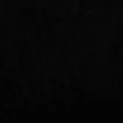 MAISON EXCLUSIVE - Lit pour chien noir 70x48x22 cm velours