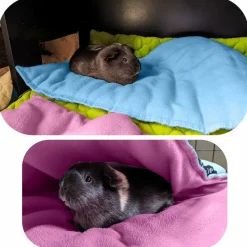 NEO SOLVO - Lot de 4 - tapis pour cochon d'inde et lapin en polaire 120 x 60 cm - polaire absorbant, lavable en machine, economique