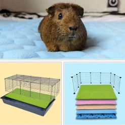 NEO SOLVO - Lot de 2 - tapis qui remplace la litière pour cochon d'inde et lapin - absorbant, imperméable, passe en machine 105 x 105 cm