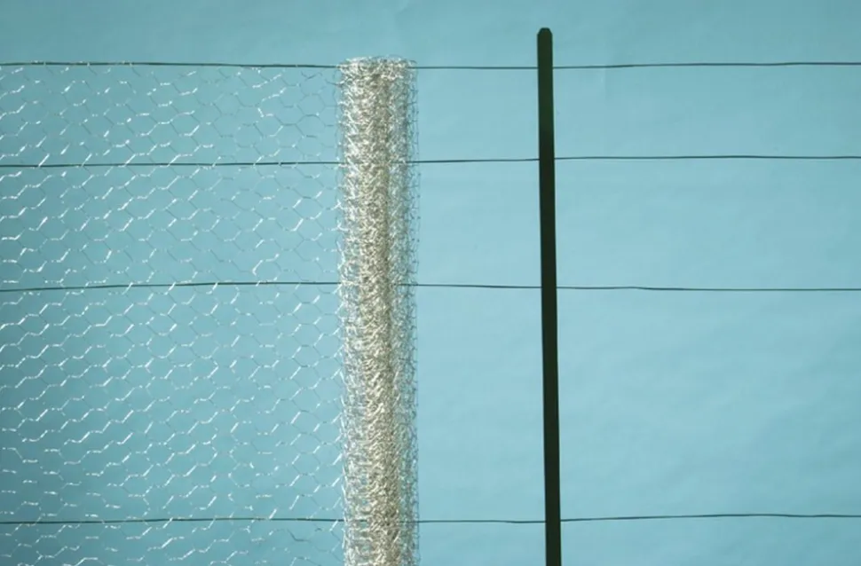 NORTENE - Grillage métallique triple torsion "galvanex 25" - 1 x 10 m/25 x 0,8 mm
