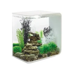 Oase aquarium décoratif 30l mcr avec cadre blanc - flow30mcr white