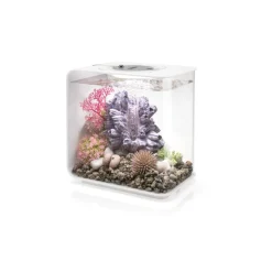 Oase aquarium 15l led blanc - flow 15 mcr white
