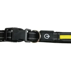 PARIS PRIX - Collier lumineux pour chien