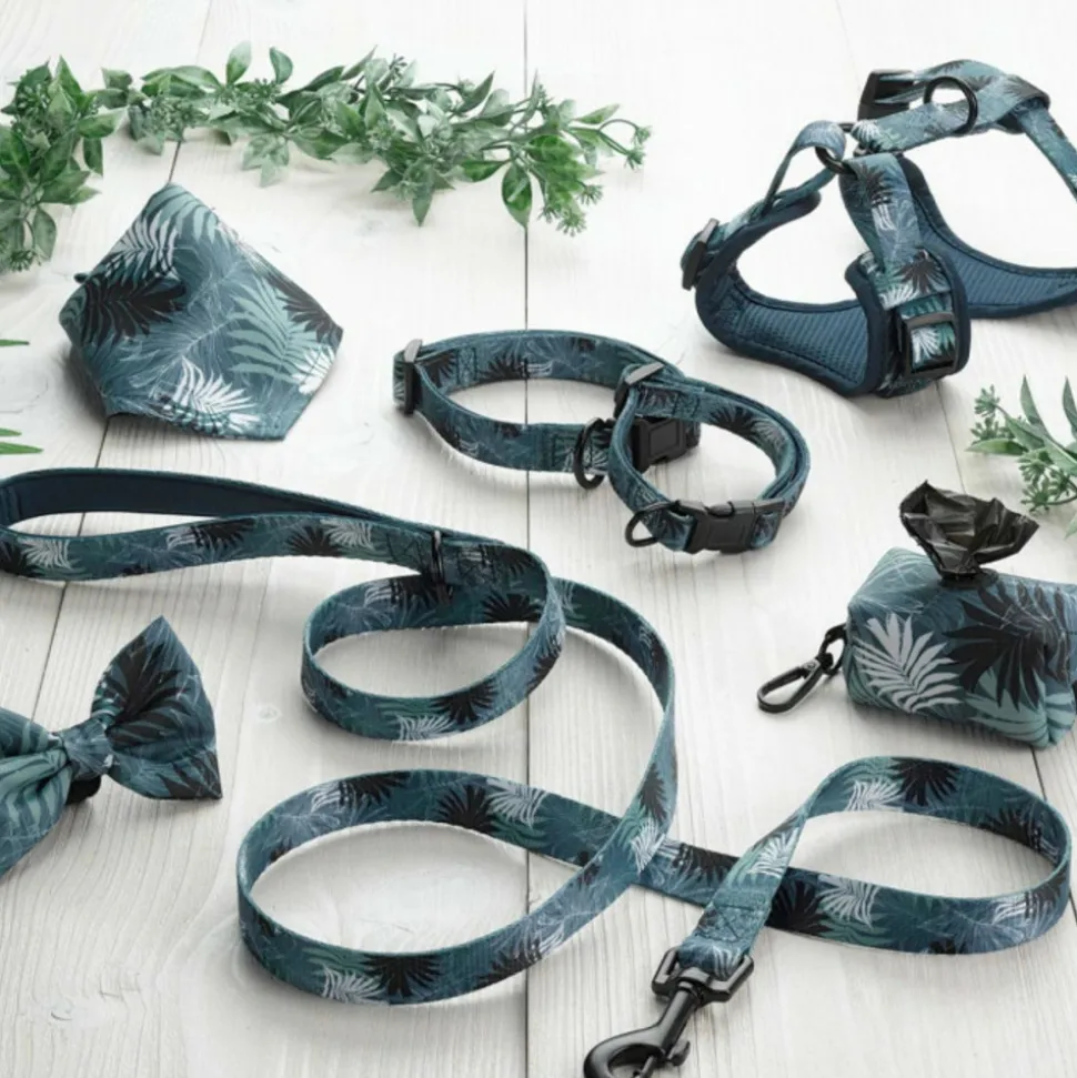 PARIS PRIX - Collier pour chien réglable "eden" 35cm bleu