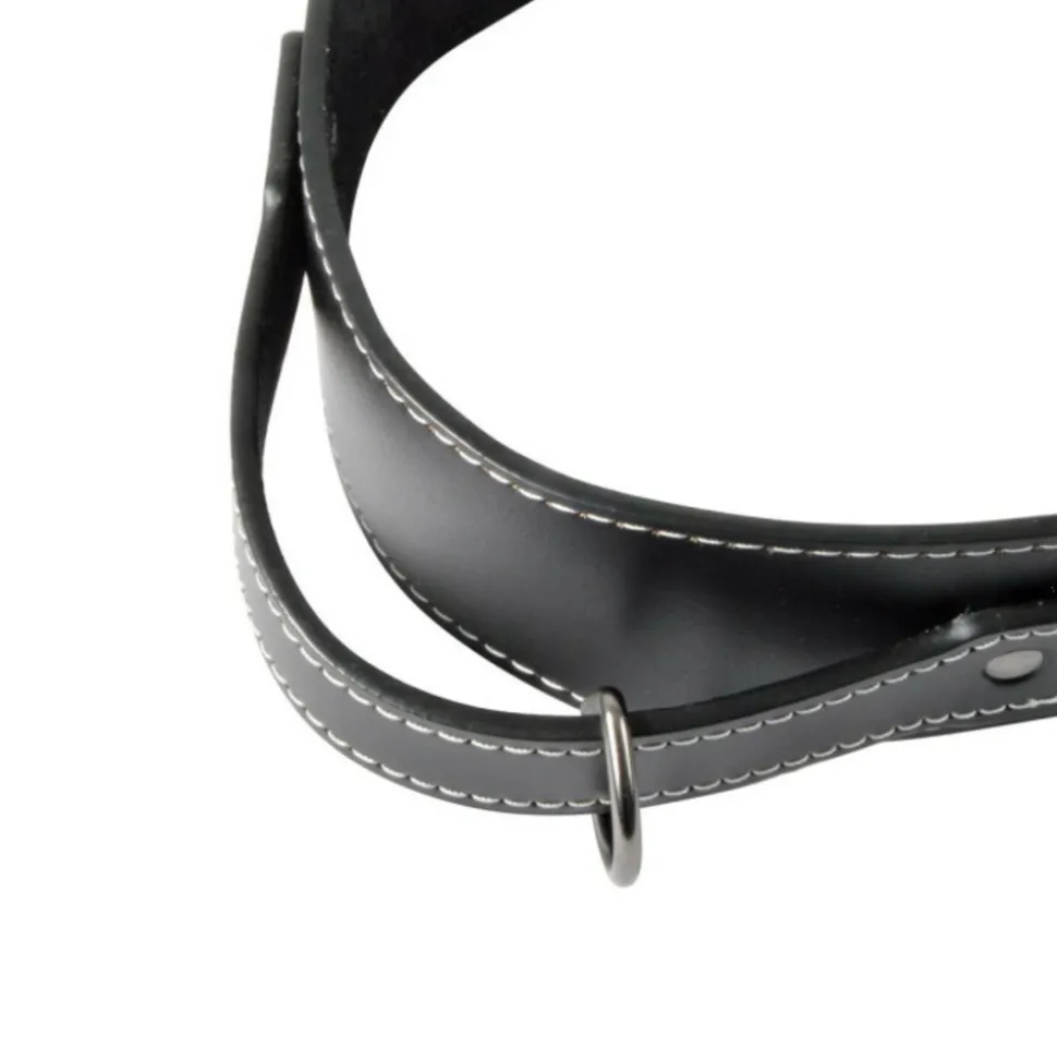 PARIS PRIX - Collier pour chien 2xl "cuir" 70cm noir
