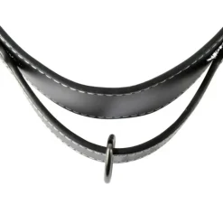 PARIS PRIX - Collier pour chien 2xl