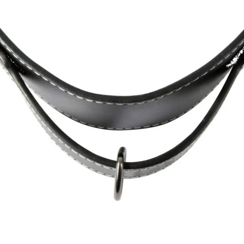 PARIS PRIX - Collier pour chien 2xl "cuir" 70cm noir