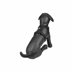 PARIS PRIX - Harnais pour chien "essentiel" 35cm noir