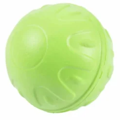 PARIS PRIX - Jouet pour chien "balle fitness eva" 7cm vert