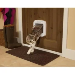 PETSAFE - - chatiere a puce électronique ppa19-16145, chatiere a piles, verrouillage a 4 positions - 22 x 23.9 cm installation fac