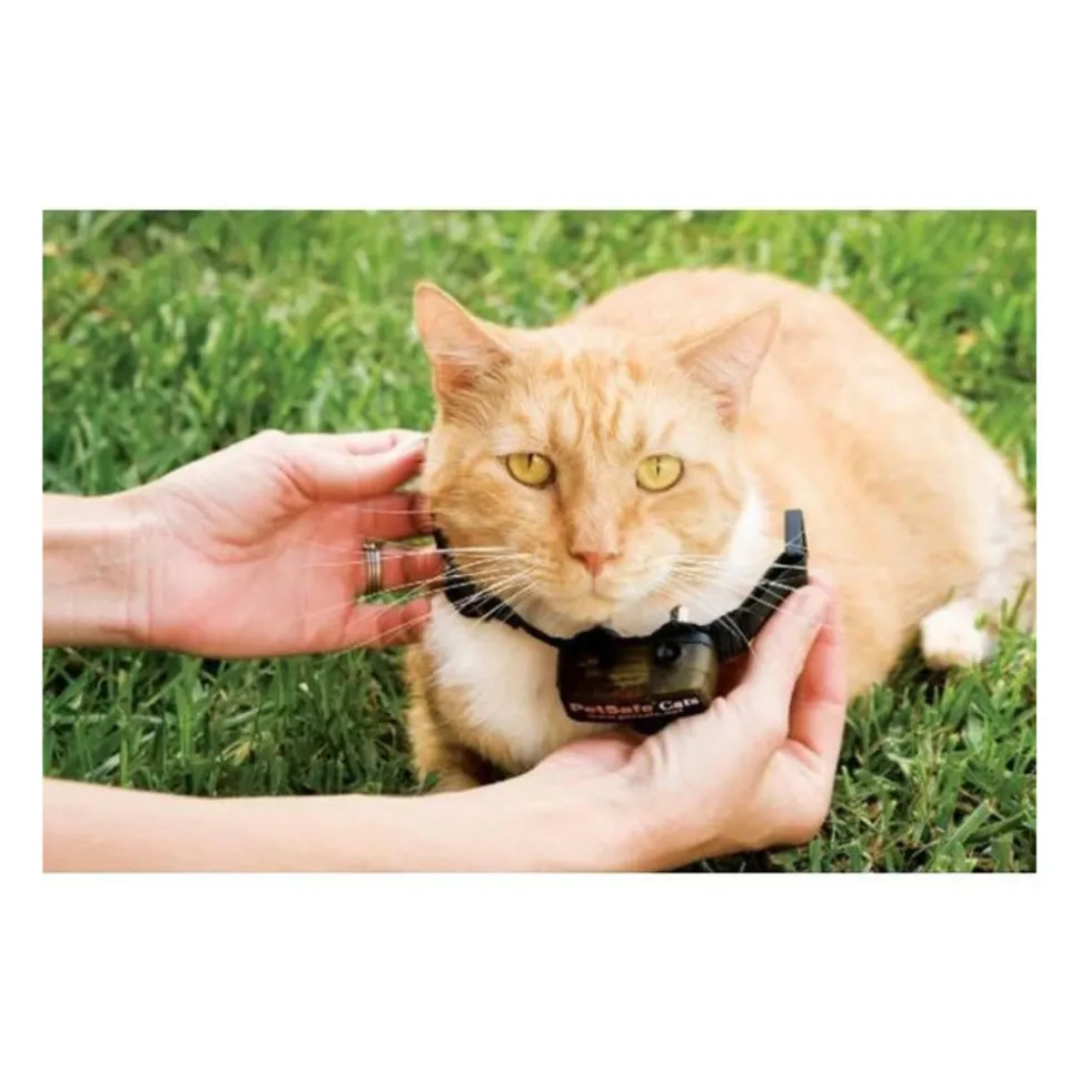 PETSAFE - Petsafe collier supplementaire special chat