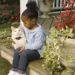 PETSAFE - Système de confinement électrique deluxe in-ground cat fence