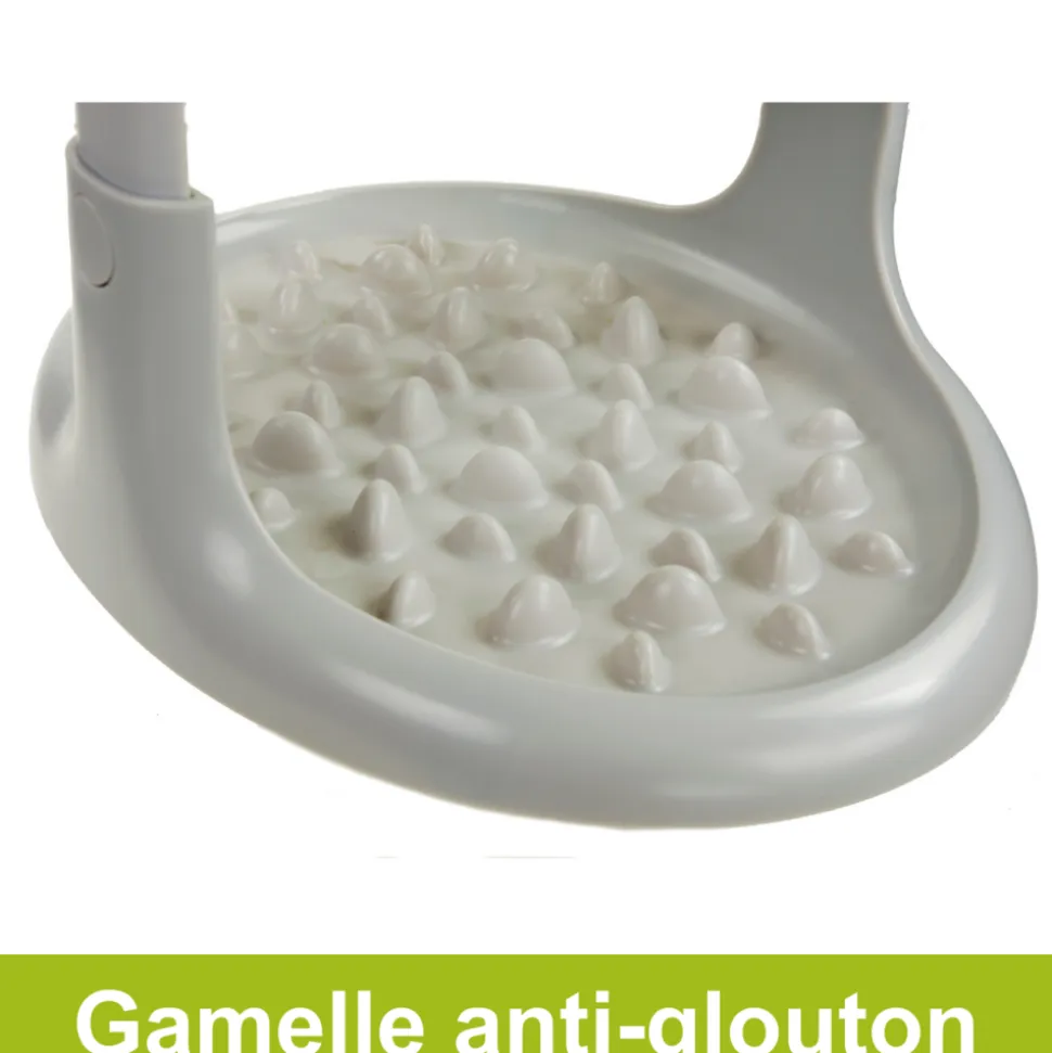 PET SLOW FEEDER - Distributeur pet slow feeder - gamelle anti-glouton