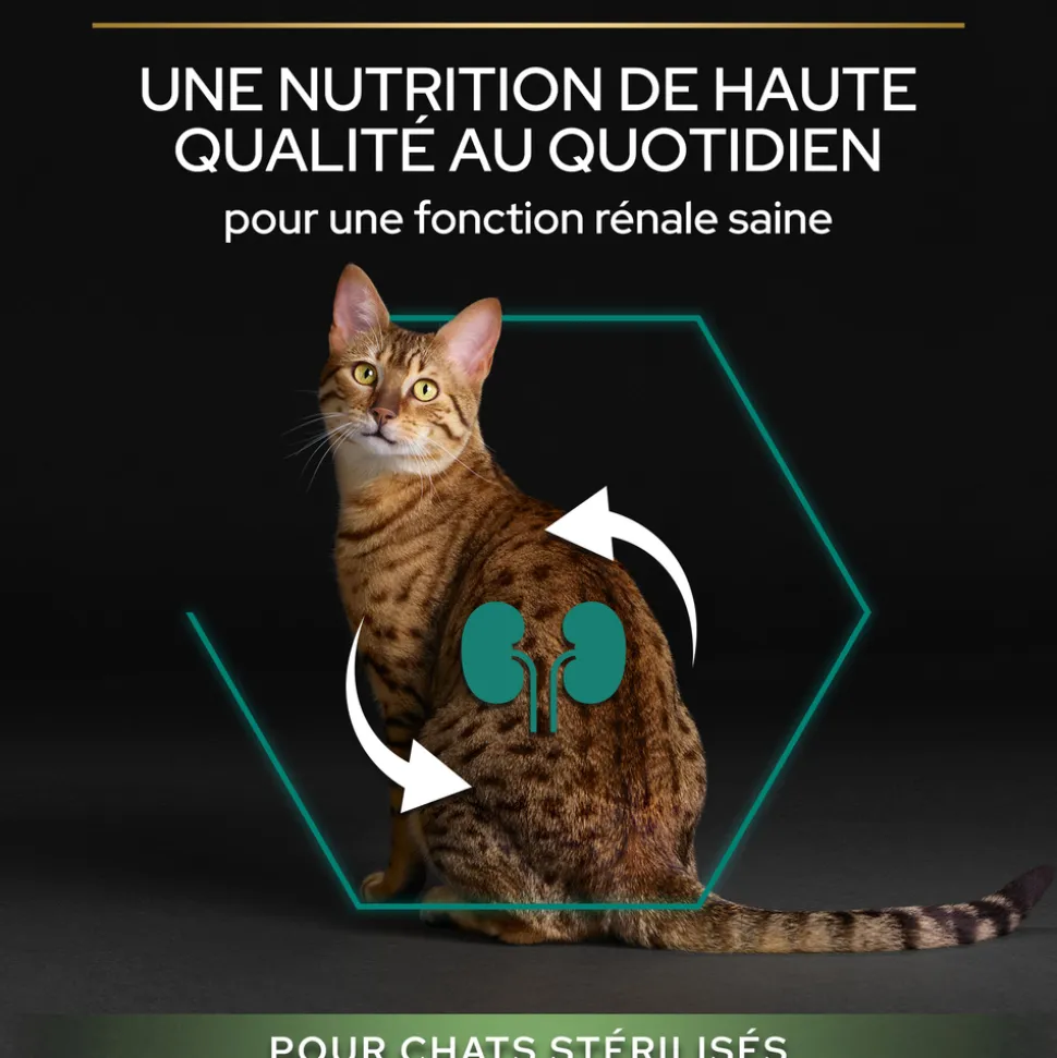 PROPLAN - Croquettes chat adulte stérilisé au saumon Super Premium - 3 kg