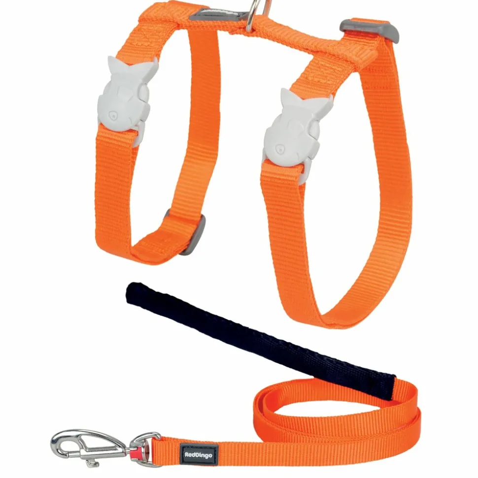 RED DINGO - Ensemble harnais et laisse red dingo chats basic orange