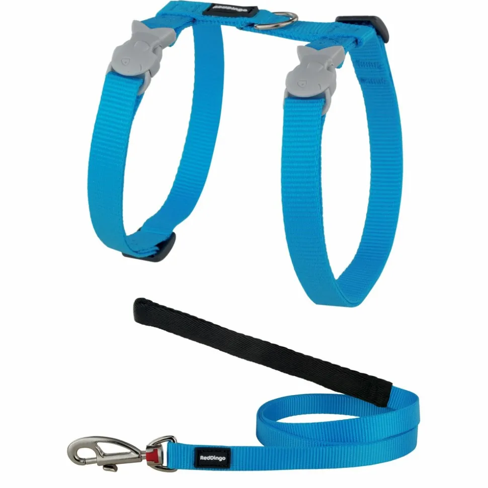 RED DINGO - Ensemble harnais et laisse red dingo chats basic turquoise