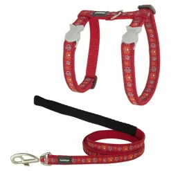 RED DINGO - Harnais pour chat red dingo style rouge sangle empreinte d'animal