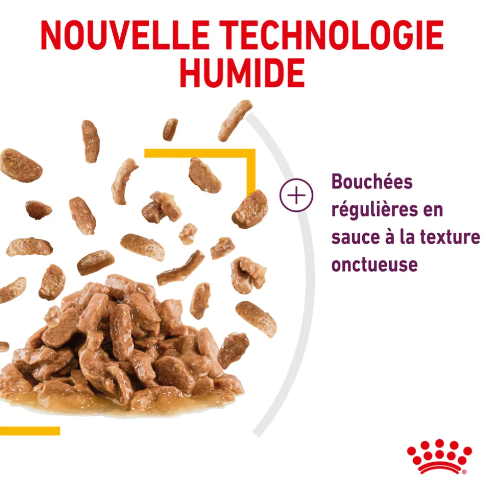 ROYAL CANIN - Bouchées en sauce chat Adulte Sensory Taste 12x85g