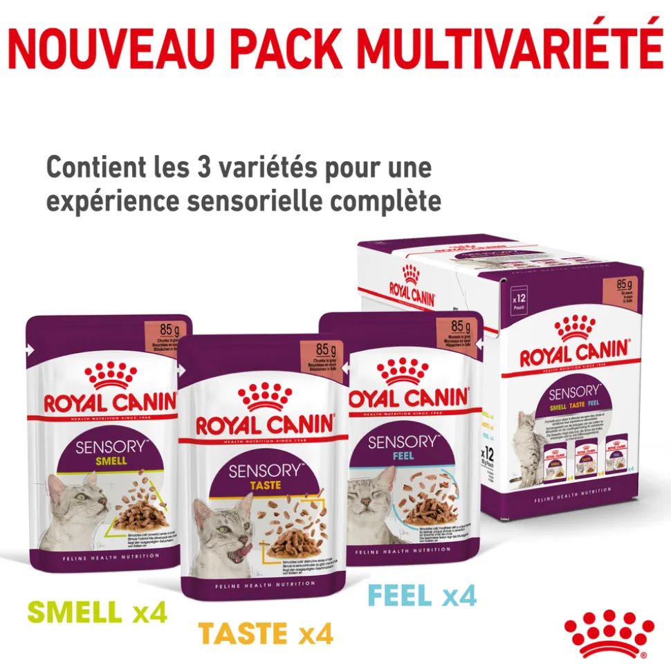 ROYAL CANIN - Bouchées en sauce chat Adulte Sensory Taste 12x85g