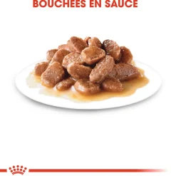 ROYAL CANIN - Bouchées sauce chat stérilisé de 1 à 7 ans Sterilised 12x85g
