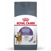 ROYAL CANIN - Croquettes chat quemandeur Appetite Control Sterilised 3.5kg