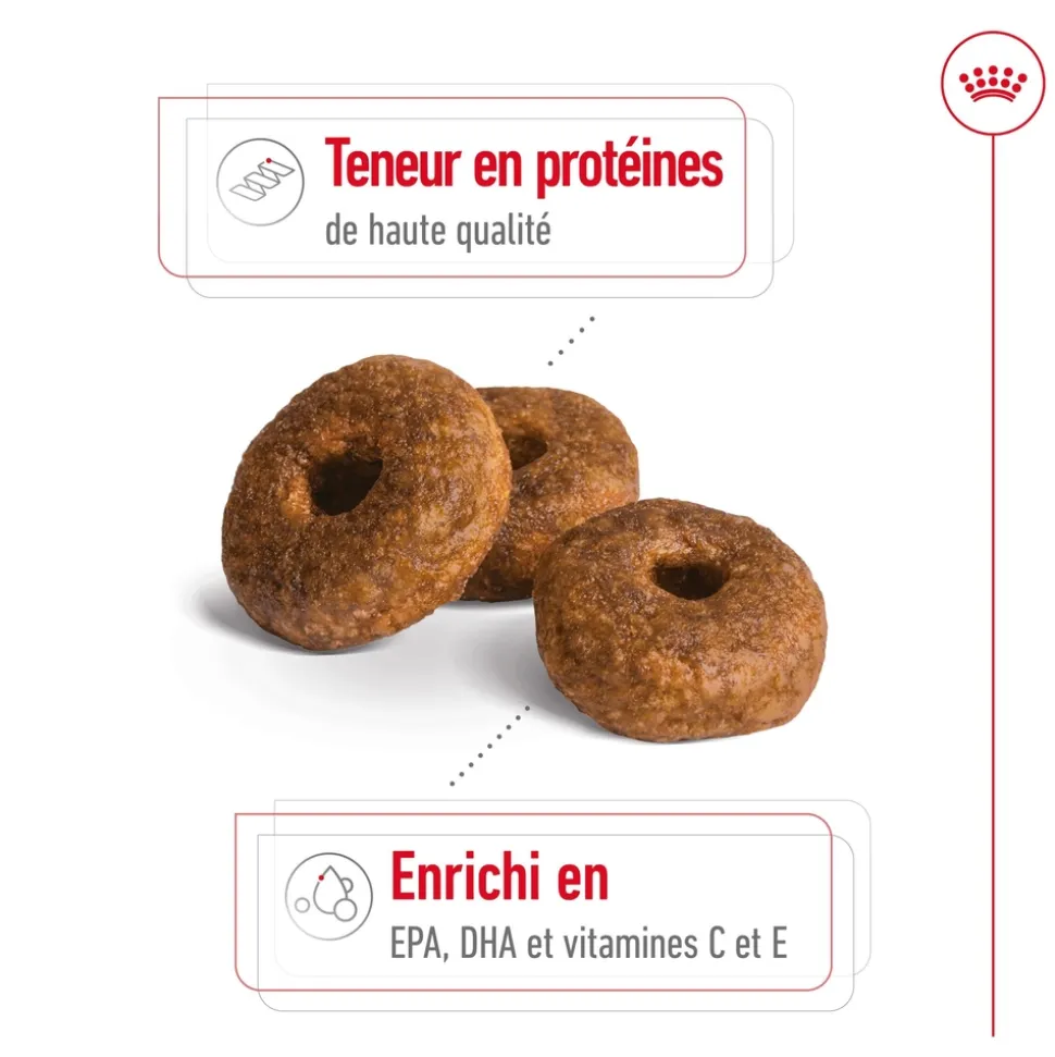 ROYAL CANIN - Croquettes chien taille moyenne de +10 ans Medium Ageing 3kg