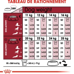 ROYAL CANIN - Croquettes chien taille moyenne de +10 ans Medium Ageing 3kg