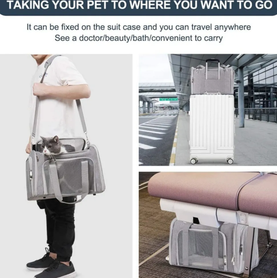 Sac à dos de chat portable et pliable pour sorties noir l downypaws
