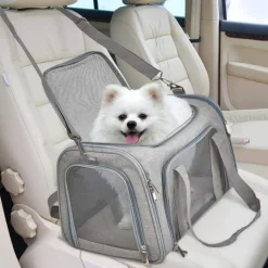 Sac à dos de chat portable et pliable pour sorties taille l downypaws