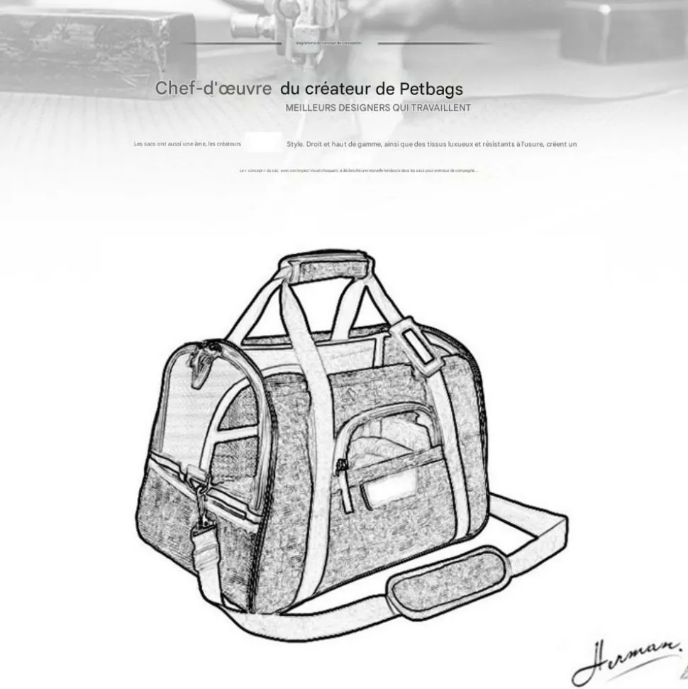 Sac à dos de chat portable et respirant pour sorties grand downypaws