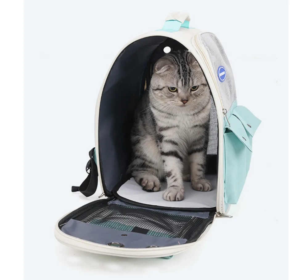 Sac à dos pour chat mcboson vert, anti-griffes pratique, bonne ventilation