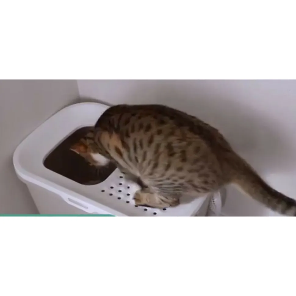 SAVIC - Maison de toilette hop in bleu entrée par dessus 58 x 39 x 40 cm pour chat