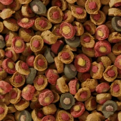 SERA - 7kg sera koi all seasons probiotic