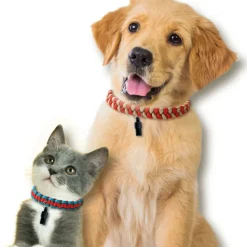 SES - Ses - make ses paracord pet collars 14784