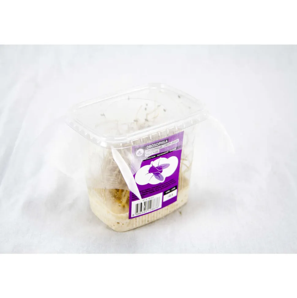 STOFFELS - Drosophiles pour alimentation reptiles
