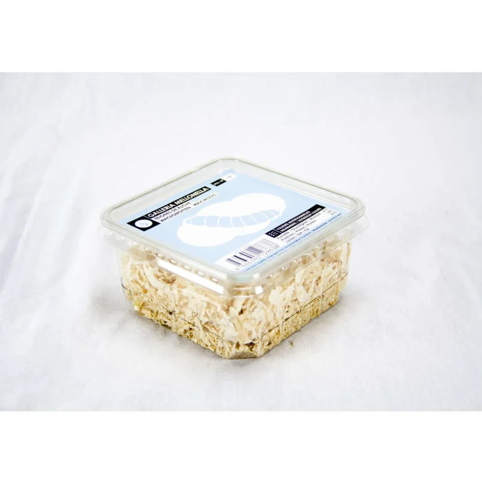 STOFFELS - Teignes de ruche pour alimentation reptiles, 50 pièces