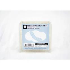 STOFFELS - Teignes de ruche pour alimentation reptiles, 50 pièces