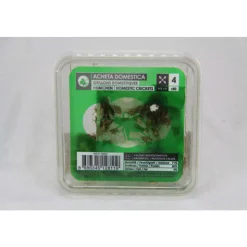 STOFFELS - Grillons alimentation reptiles, taille petit, 70/80 pièces